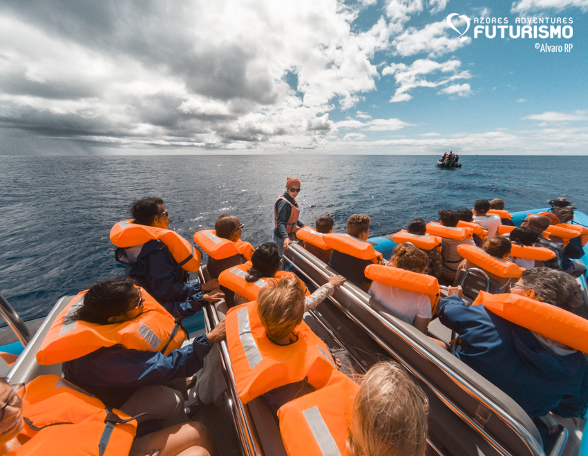 Sperm whales and bottlenose dolphins together! - Azores Whales
