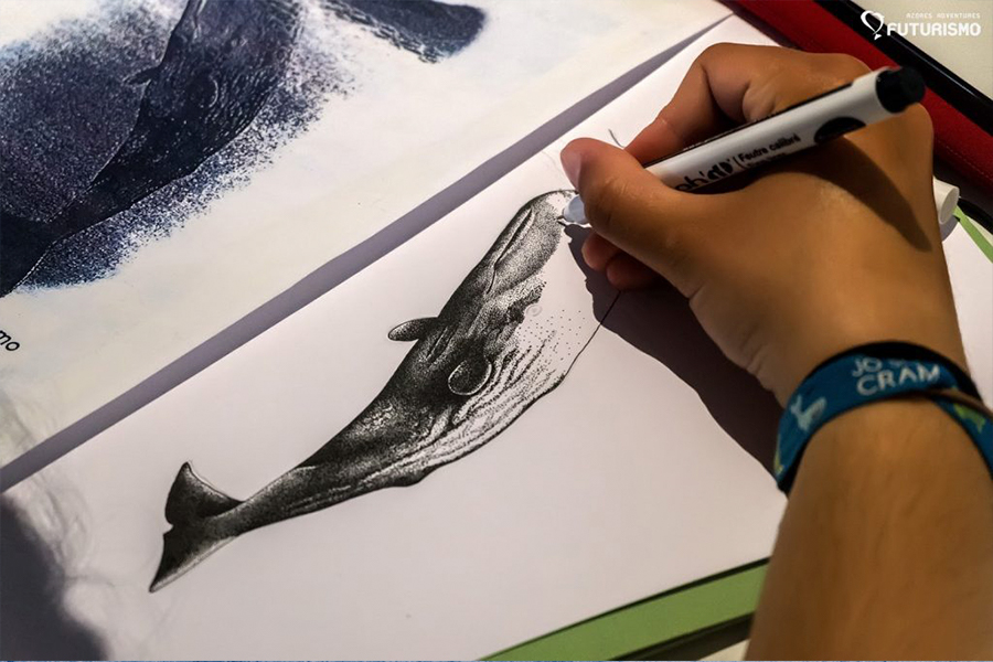 Sperm whale drawing made by Georgina Cabayol Ferraz