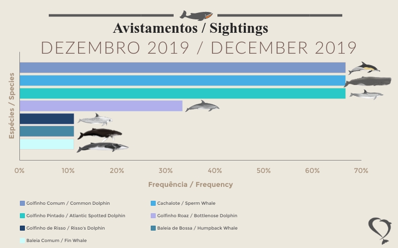 Cetaceans Sightings statistics december 2019