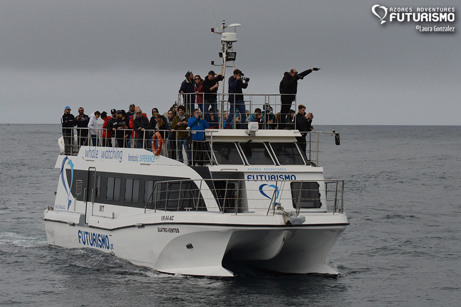 Futurismo 4 ventos catamaran